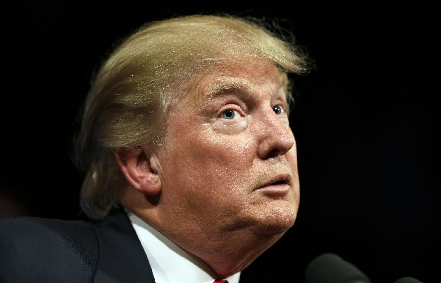 Këshilltari i Trump: Në Kosovë, Al-Qaeda e shkatërroi ushtrinë serbe - Telegrafi