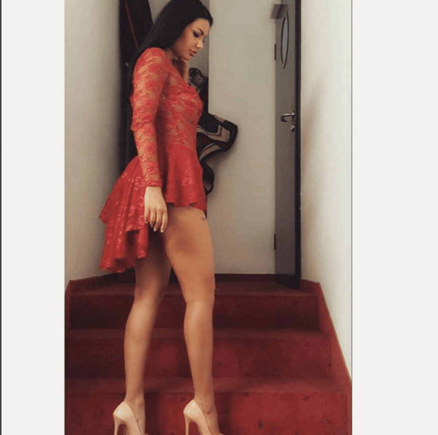 zajmina 5
