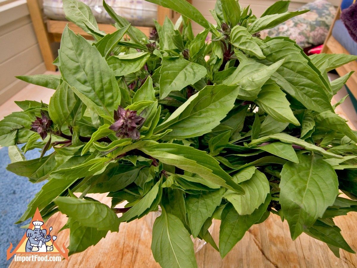 basil_050111_2l