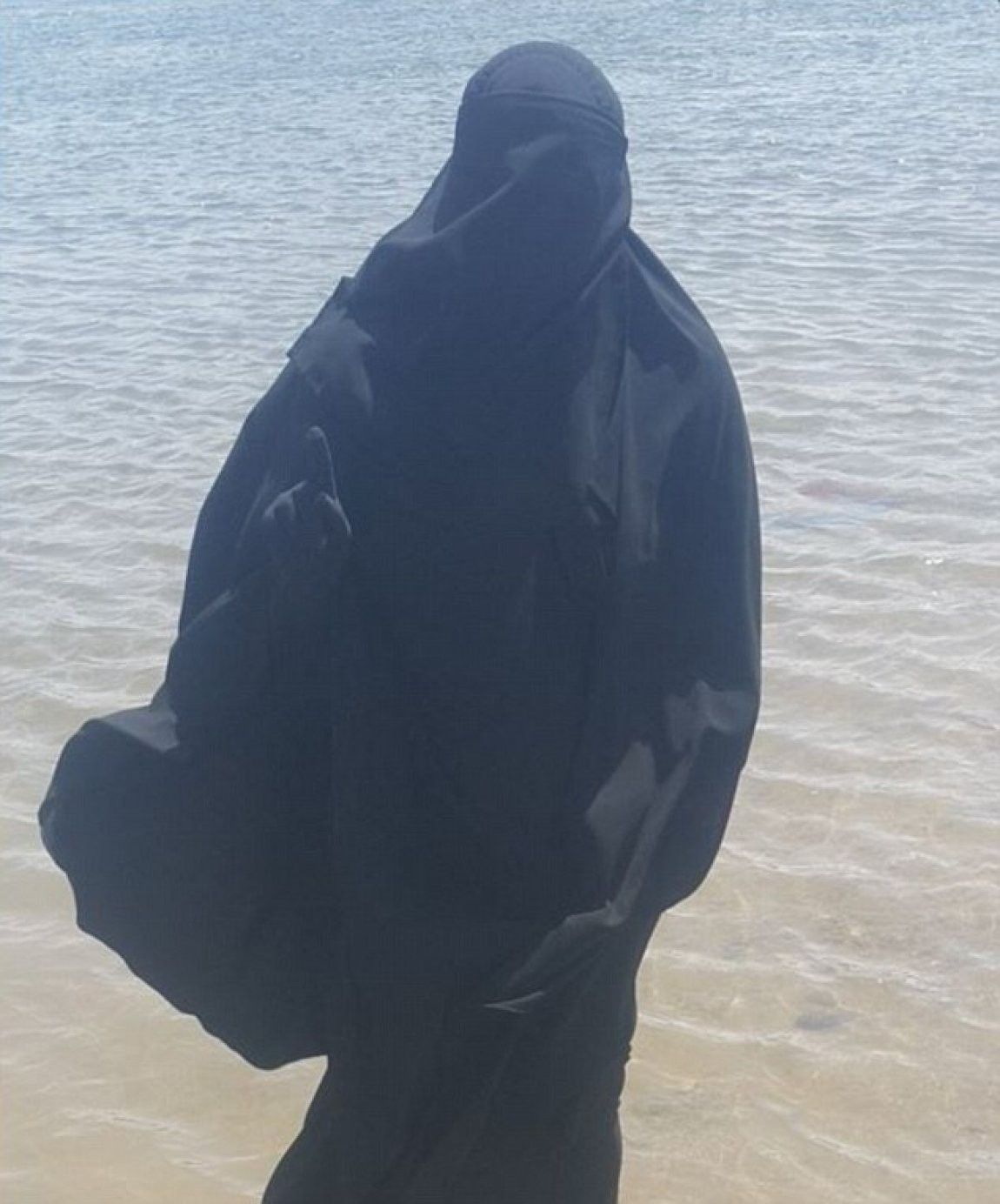 ISIS 1