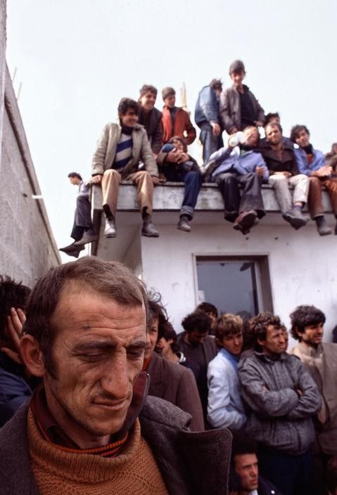 Arrival of Albanian refugees.