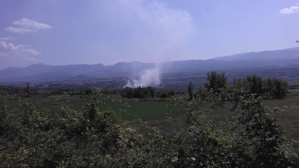 Tymi Diber 1