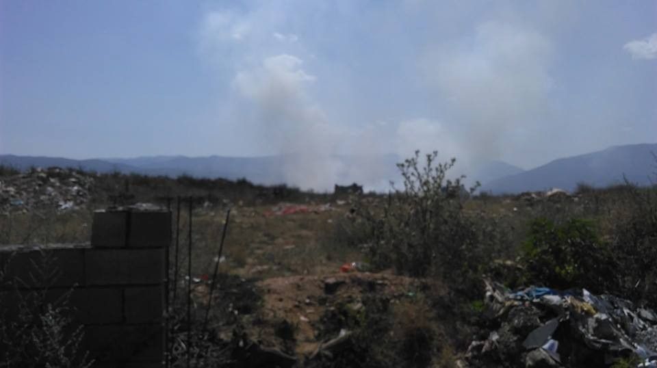 Tymi Diber 3